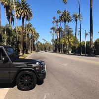 Отзыв от Эдуард - виза ДТВ